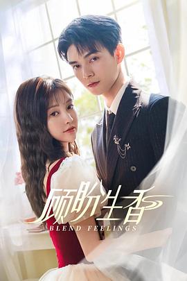 顾盼生香第16集