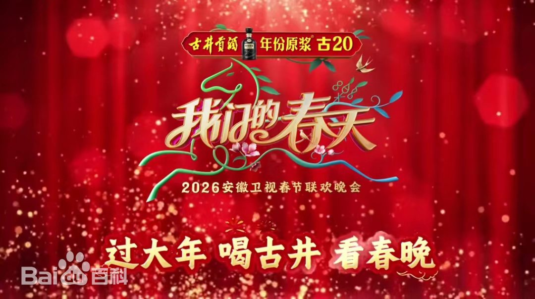 安徽卫视春节联欢晚会2026